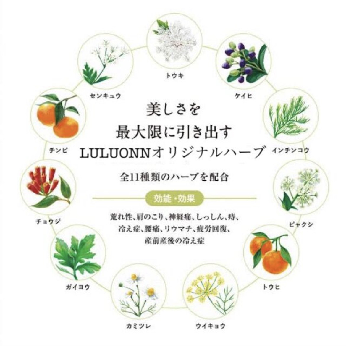 LULUONNオリジナルハーブ 11種配合